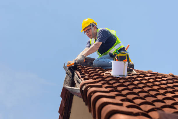 Best Asphalt Shingle Roofing  in Fowlerville, MI